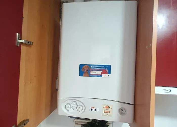 Camino Santiago Etxea *